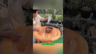 El Genio Carpintero Transformó Pallets Viejos en un Jarrón de Lujo #shorts