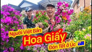 Hiển Chợ Trời Vlog