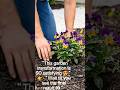 This garden transformation is SO satisfying 😍     👉Wait till you see the final result 👀 #usa