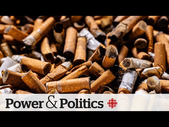 tobacco politics Next generation of P.E.I. could be hit with tobacco ban | Power & Politics
