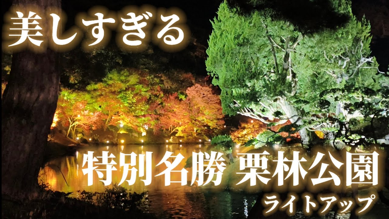 2025年秋  特別名勝  栗林公園 秋のライトアップ  4K