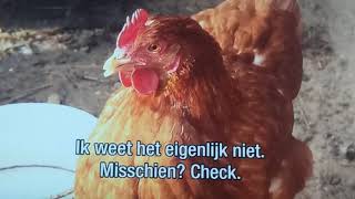 Semantische Vervuiling Recensie Herman Lauwers Links