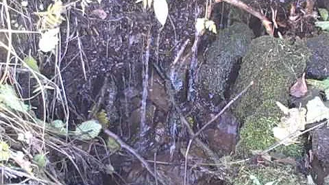 High Mountain Spring, the Water of Life