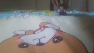 Caillou Thomas Wooden Railwary