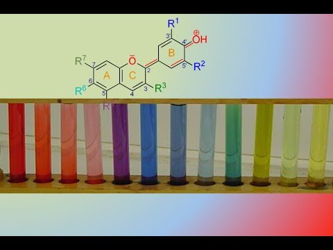 17 Le Jus De Chou Rouge Est Sensible A L Acide Youtube