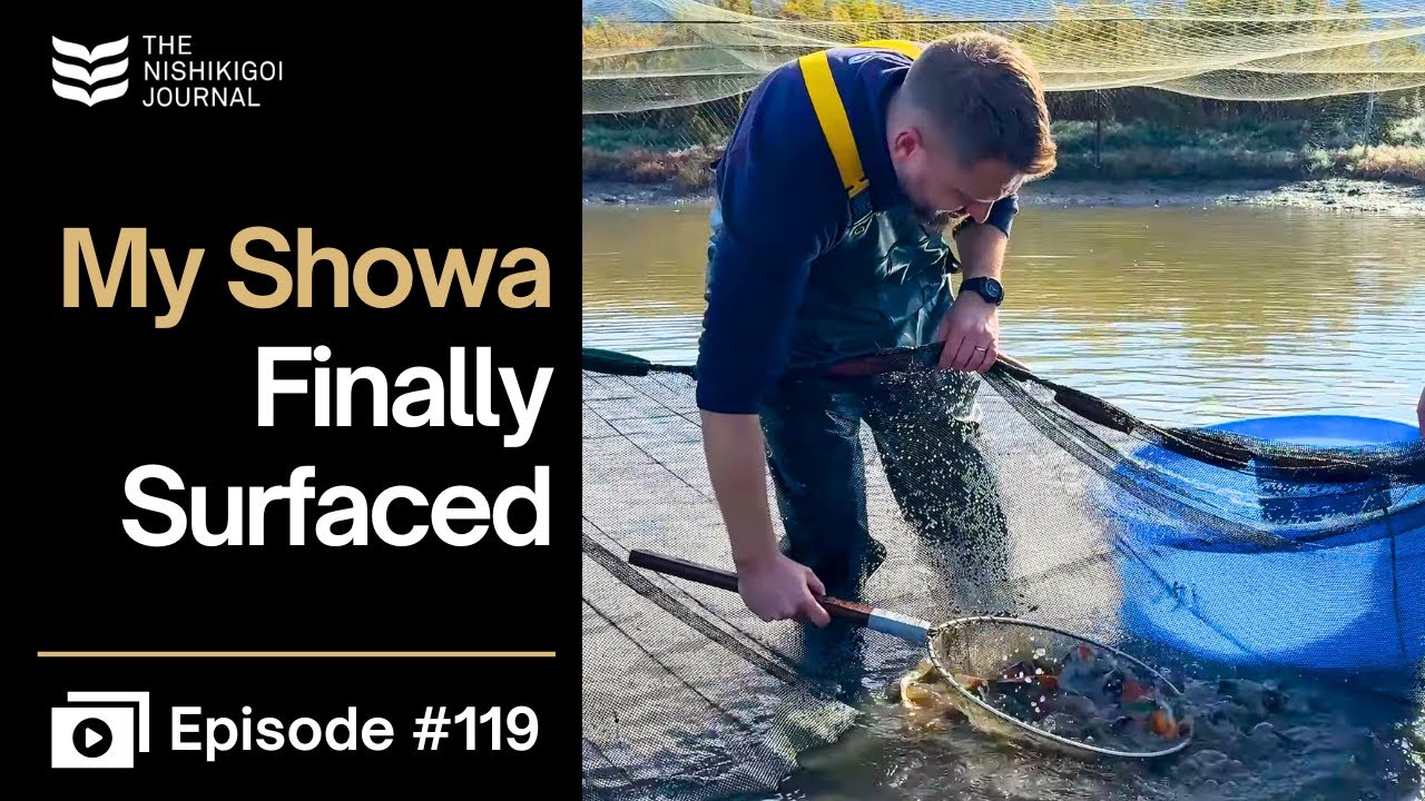 Я вырастил свою собственную сёву в Японии… Урожай лишил меня дара речи | N.I.J. | Эпизод № 119