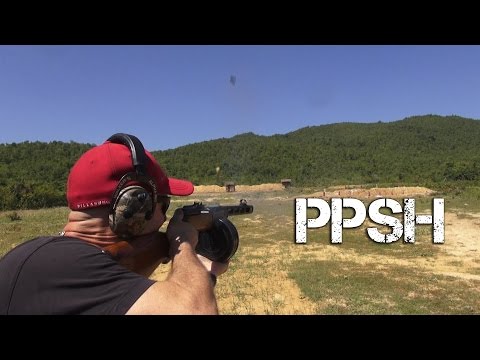 Barely Acceptable for Shooting a Cat - 7.62x25mm - Part 1- PPSH