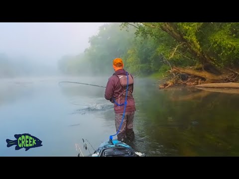 This Pennsylvania Creek Had EVERYTHING!