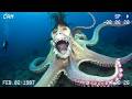 Terrifying Ocean Creatures Worse Than the Megalodon