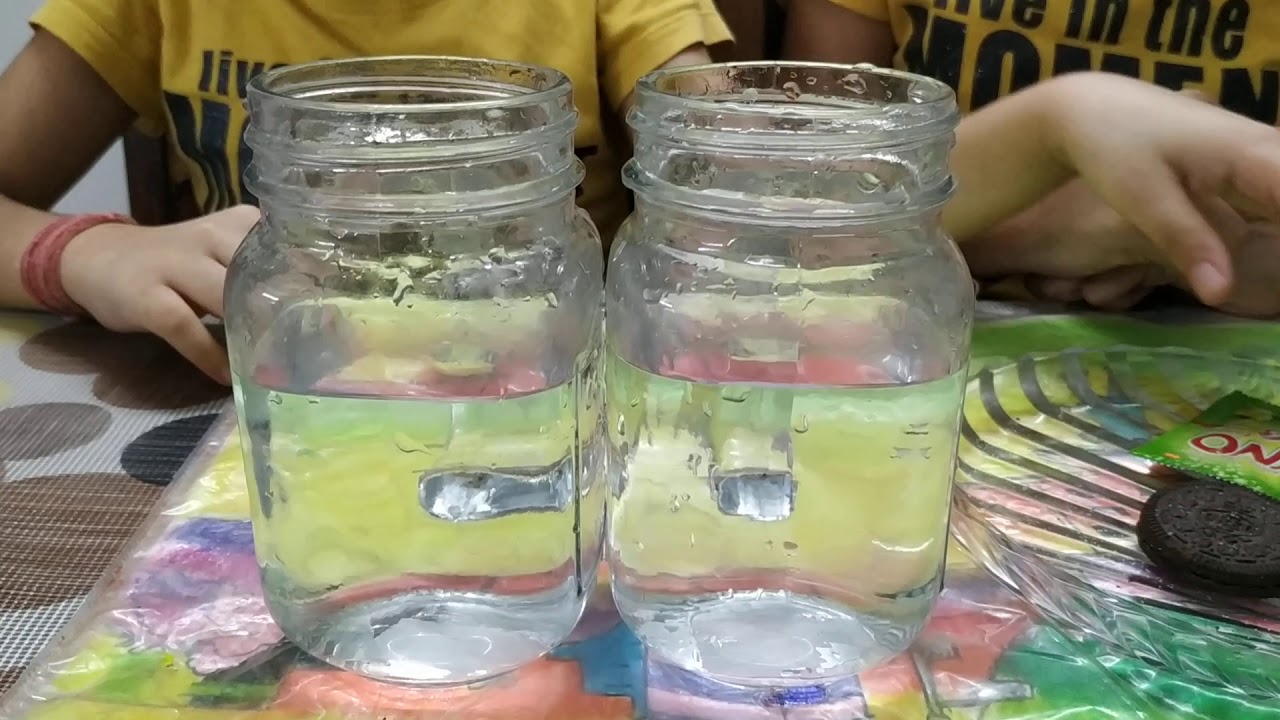 Easy science experiments (Floating biscuit) YouTube