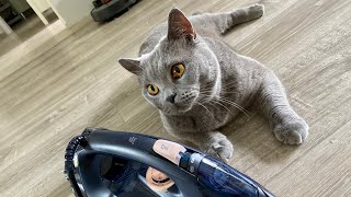 British Shelby unboxing Philips Steam Iron ❤️🐾 by British Shelby 692 views 1 year ago 48 seconds