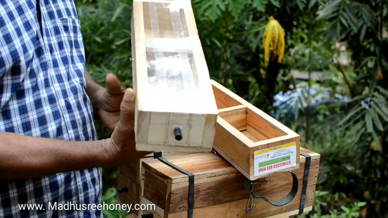 Modified common Dammer hive / cheruthean koodu Design