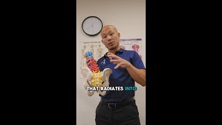 The 3 most common types of back pain we treat #shorts