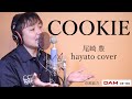 【歌ってみた】COOKIE / 尾崎豊 covered by 桜井はやと
