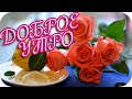 Доброе утро! ❤️ Пусть в душе живет мир и гармония! ❤️ Good morning! ❤️