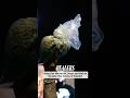 Pastor Calls Out Witches, Warlocks, Drug Dealers to Church #Jesus #viral #trending #church
