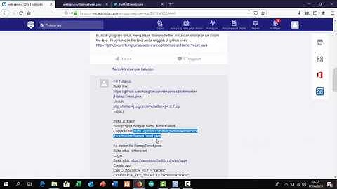 Timeline Twitter API