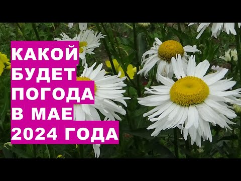 А май 2024 года особым теплом и не порадует And May 2024 will not please you with any special warmth