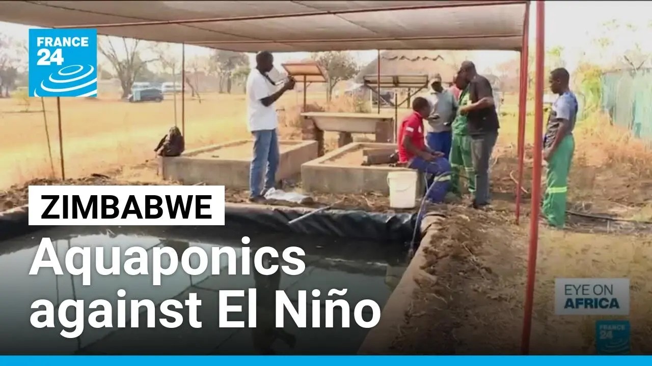Zimbabwe farmers brace for El Niño by saving water • FRANCE 24 English