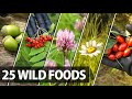 25 Edible Plants, Berries and Trees for Wilderness Survival