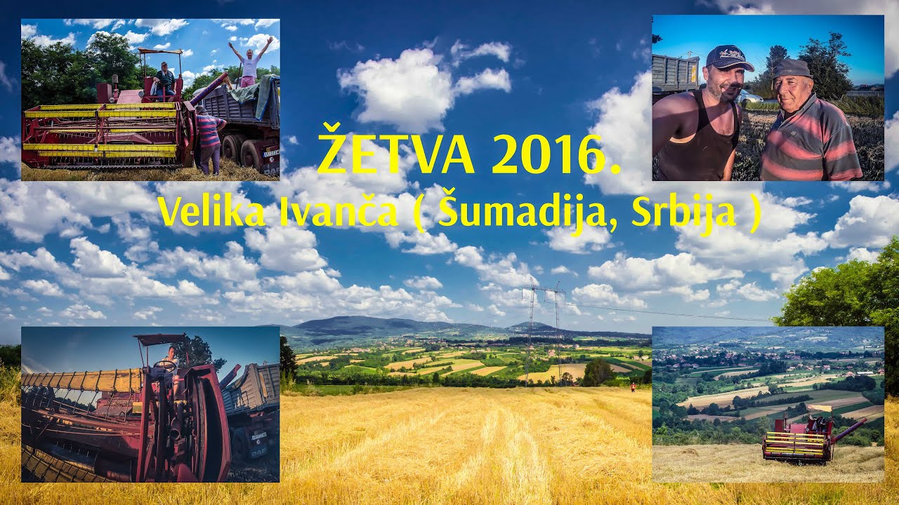 Žetva 2016. - Velika Ivanča Srbija