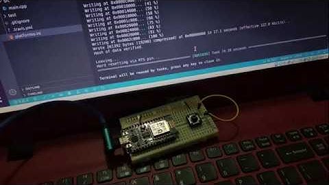 Program ESP8266 using PlatformIO IDE/Arduino framework
