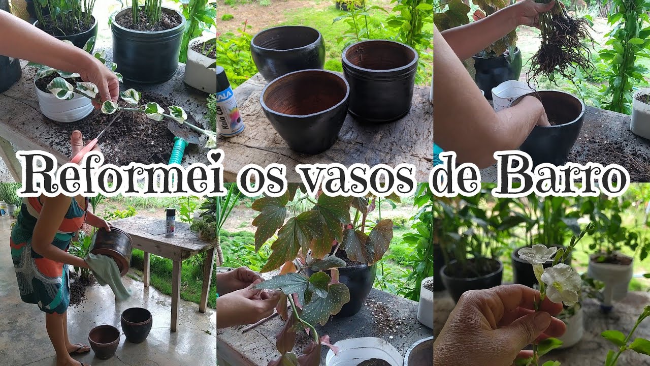 Fiz replante junto com reforma ficaram lindos demais ⚱️🌱⚱️