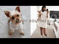 NEW YORKIE PUPPY MORNING ROUTINE