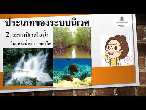 Science  Easy ระบบนิเวศ EP 2ความสัมพันธ์