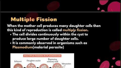 Class 8 Biology Chapter-Reproduction in Animal