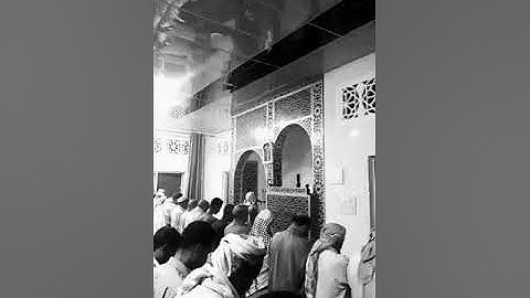 ماتيسر من سورة غافر بصوت جميل القارئ محمد وليد الشرعبي