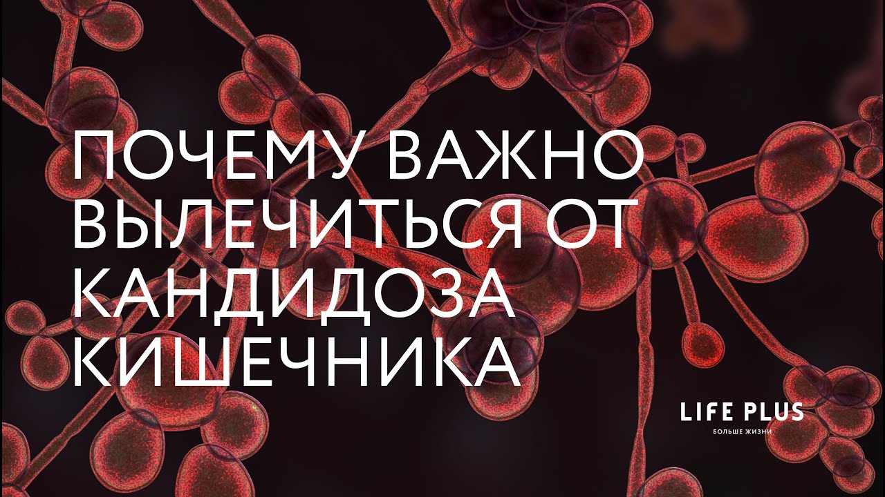 Пока есть кандидоз кишечника, здоровье и красота — невозможны. - YouTube