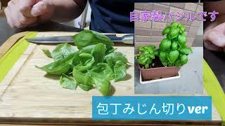 ホームコーディみじん切りチョッパー