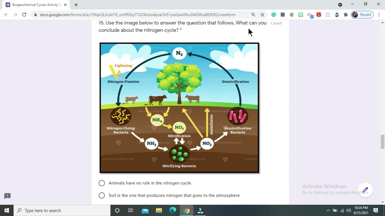 BIOGEOCHEMICAL CYCLES| MODULE 6| ACTIVITY SHEET| ANSWER KEY| SCIENCE 8