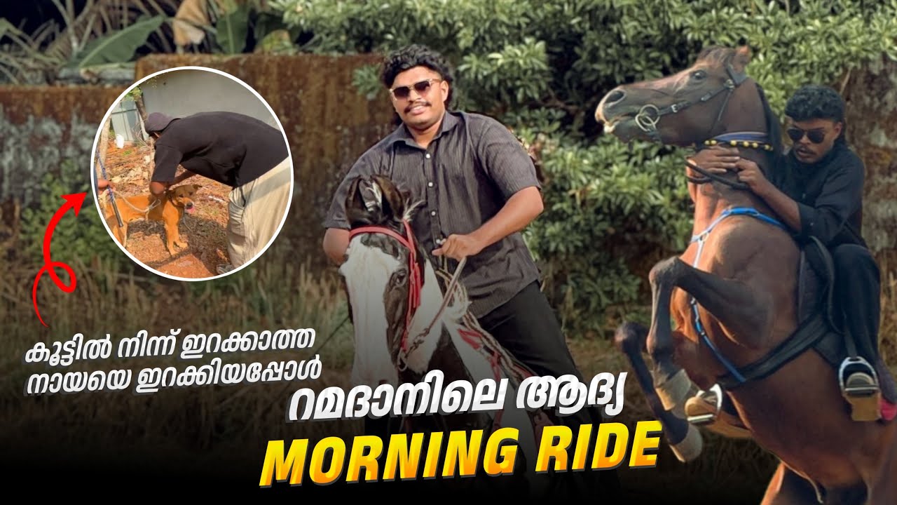 കടിയൻ നായയെ പുറത്തിറക്കി | റമദാനിലെ ആദ്യത്തെ morning റൈഡ് | നാലുകാൽ ഒരുമിച്ചു ചാടുന്ന കുതിര 😳