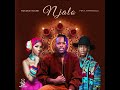 Mduduzi Ncube(ft.mafikizolo)-Njalo [oficial audio] 2023