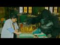 Hello charlie  gorilla wants to play chess scene  comedy  funny scene  hellocharlie comedy