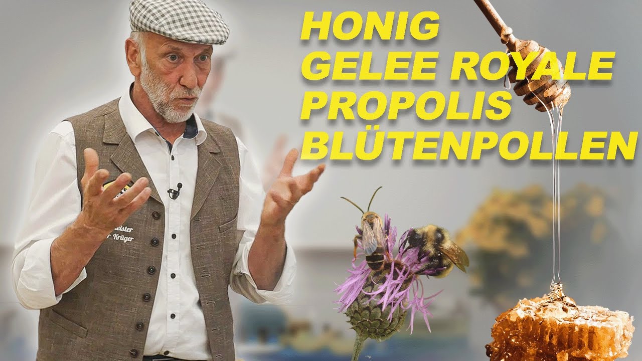 Die Heilwerte aus dem Bienenvolk – Honig, Gelee Royal, Propolis und Blütenpollen