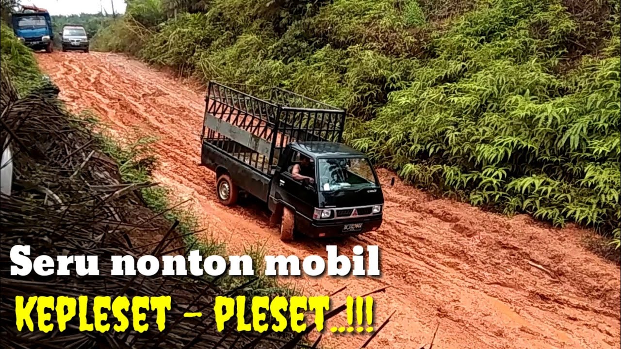 Panther Mania Ngrayap Di Kebun Teh Nglinggo Samigaluh