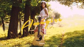 Iudita Nistor - Amagire // cover chords