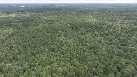 llis Lane | Orange Co., Texa