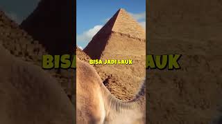 1. ADA YANG BISA JAWAB 