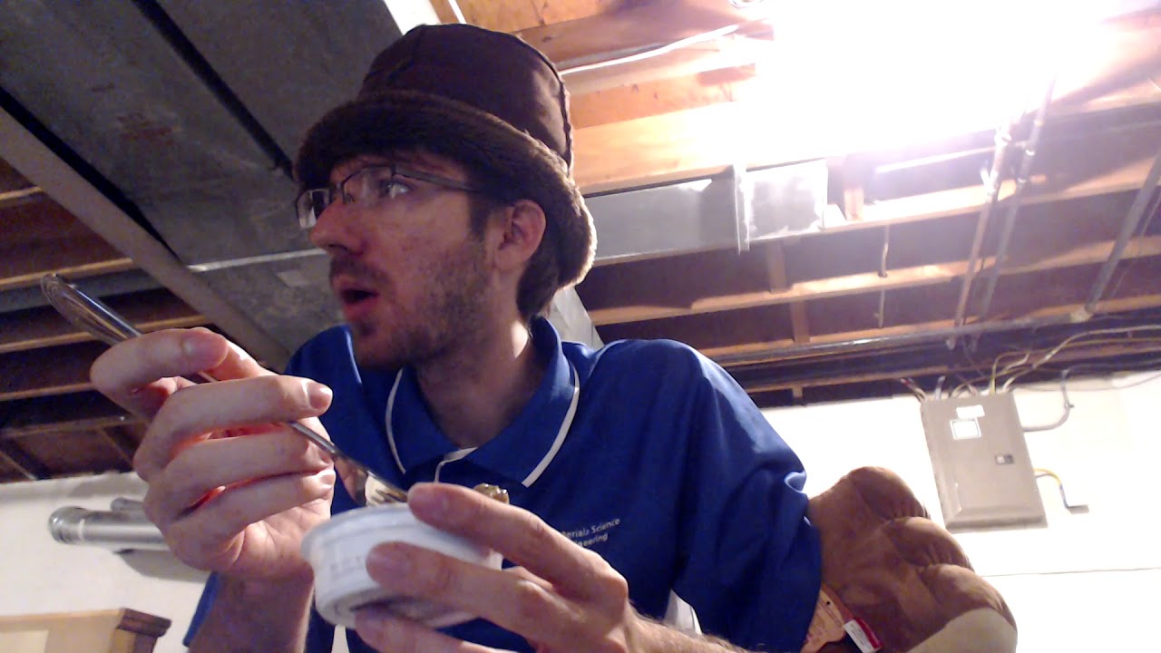 Human Reviews Pet Food Organix Tiny Feasts Organic Chicken & Potato