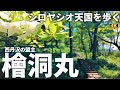 【ルート解説】西丹沢の盟主 檜洞丸 (ツツジ新道・石棚山稜周回) Course Guide of Mt.Hinokiboramaru of Tanzawa Japan