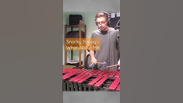 Thumbnail of What About Me (Snarky Puppy) // Jazz Vibraphone Transcription
