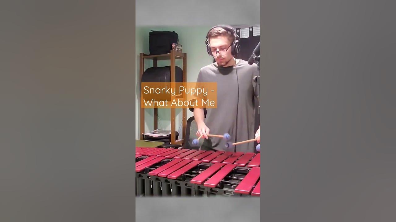 What About Me (Snarky Puppy) // Jazz Vibraphone Transcription
