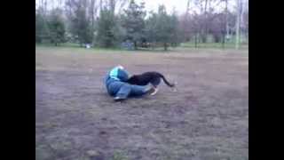 Eric vom der Steinfluss Fr. Ring training HA Jimmy Van Hove