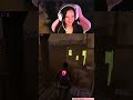 fake fenêtre | #joytarose sur #Twitch