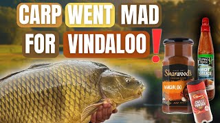 CARP vs FOOD - USING VINDALOO AS BAIT! 🔥CARP FISHING!