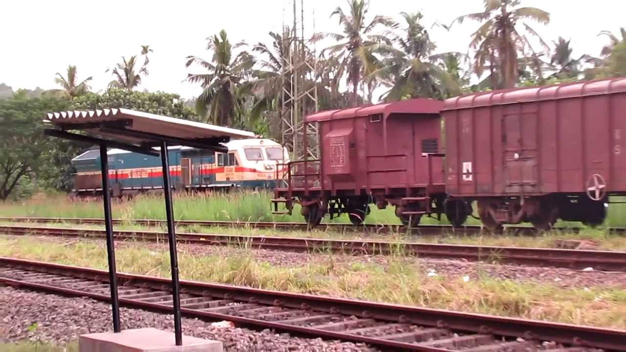 GOC WDG4 Piglet in MAJN !!